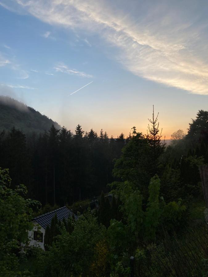 Vip Haus Winterberg Villa Exteriör bild